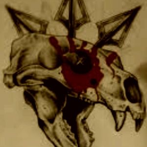 Meet your Posher, Seth